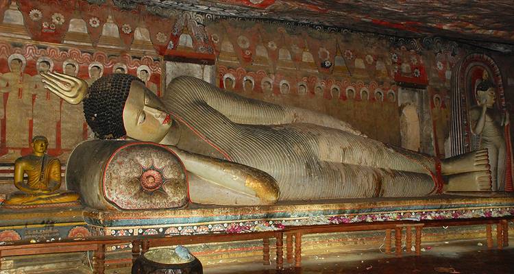 Highlights of Sri Lanka (West Coast) - Explore! 2
