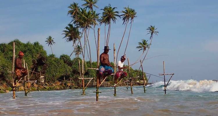 Pêcheurs utilisant des échasses dans l'océan avec des palmiers sur le rivage.