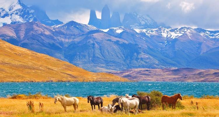 Atacama à Paine + Extension Île de Pâques - Explore! 5