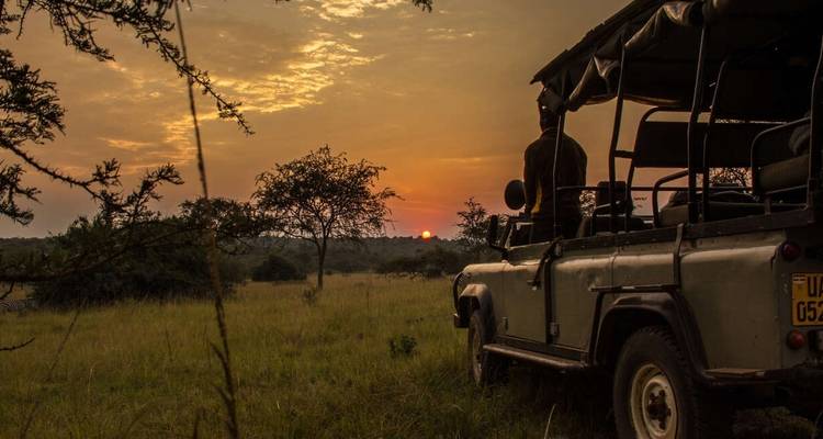 Safari a Uganda con gorilas y chimpancés - Explore! 8