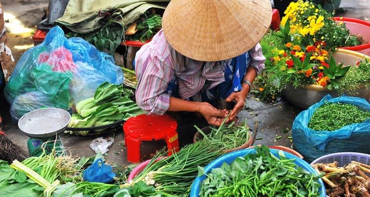 Explorador de Vietnam - Explore! 2