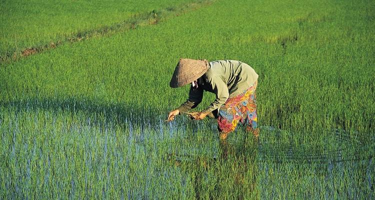Explorer le Vietnam - Explore! 10