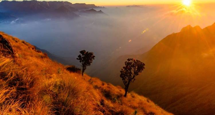 Walking in Kerala - Explore! 3