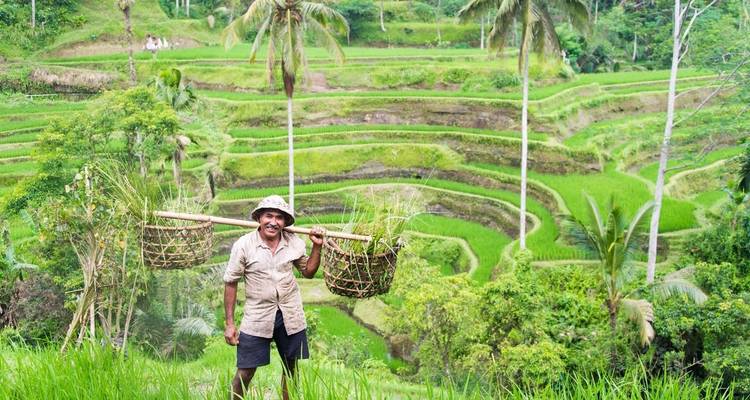 Marcher en Indonésie - Java et Bali - Explore! 7