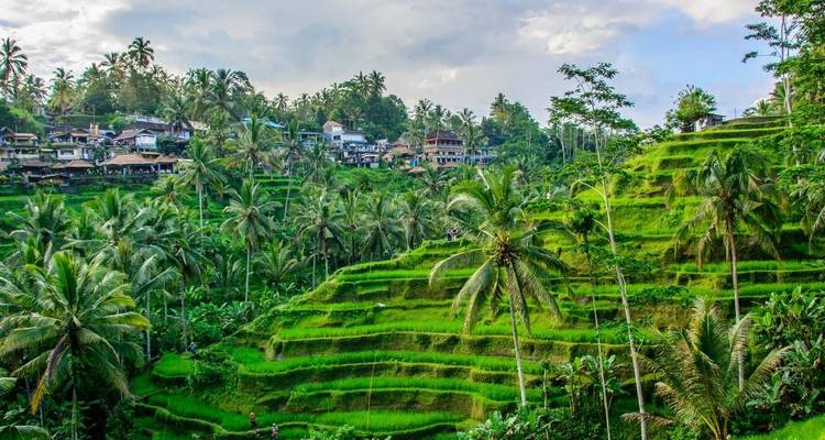 Marcher en Indonésie - Java et Bali - Explore! 6