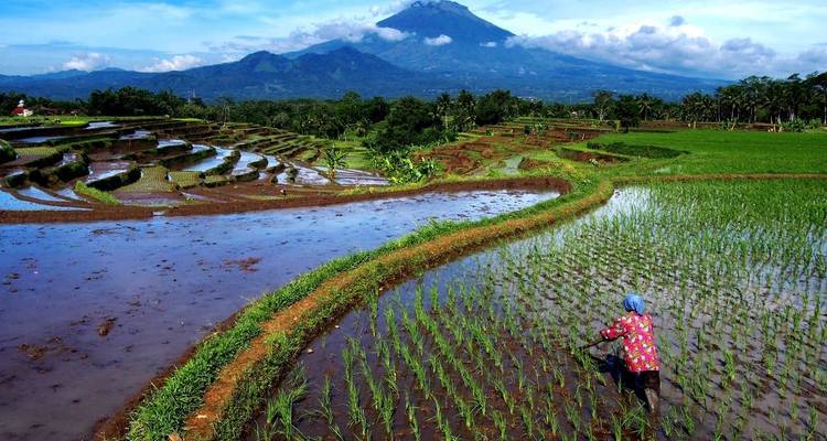 Marcher en Indonésie - Java et Bali - Explore! 8