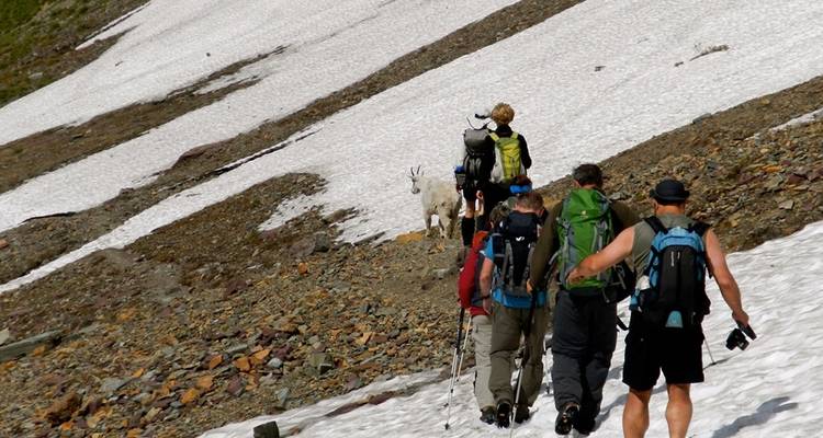Marcher dans les Rocheuses canadiennes - Explore! 7