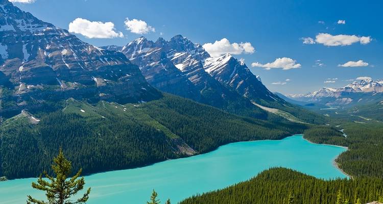 Marcher dans les Rocheuses canadiennes - Explore! 6