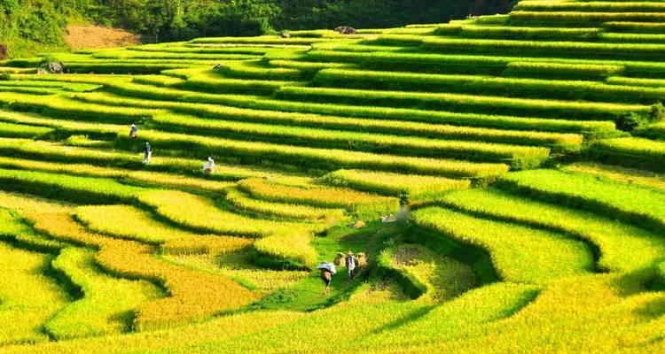 Marcher au Vietnam - Explore! 6