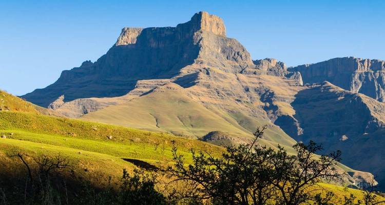 Kruger, Eswatini et la Route des jardins d'Afrique du Sud - Explore! 10