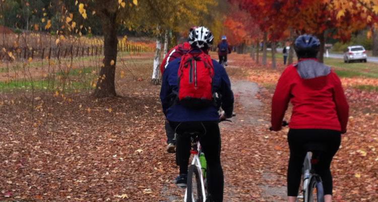 Tour de Murray to Mountains Rail Trail - Week- end en groupe - Tour de Vines 7