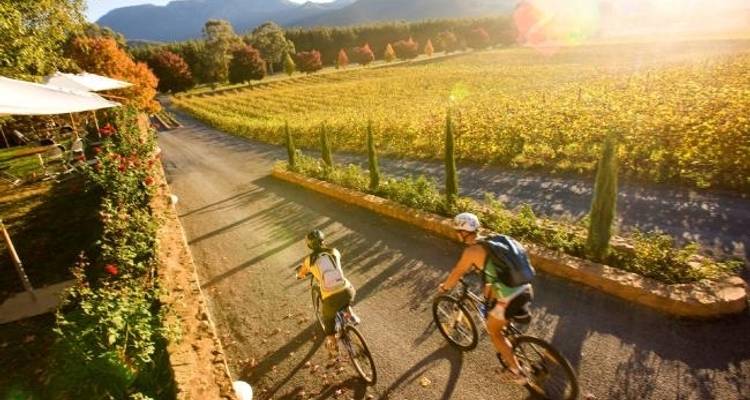 Tour de Murray to Mountains Rail Trail - Week- end en groupe - Tour de Vines 1