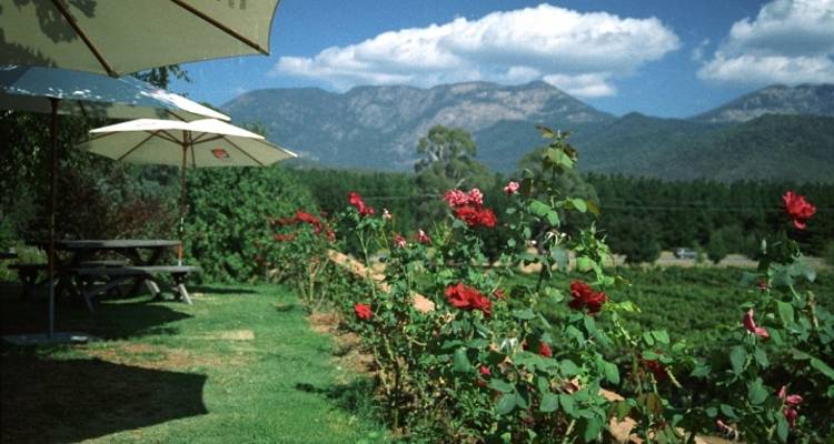 Tour de Murray to Mountains Rail Trail - Week- end en groupe - Tour de Vines 3