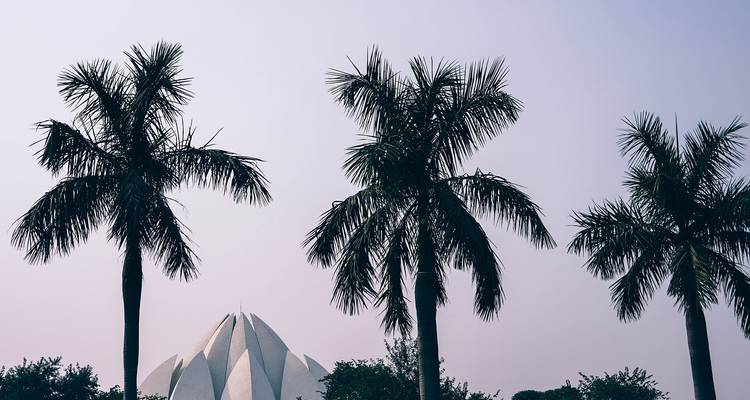 Viaje de 5 días al triángulo de oro - Muy recomendable - Colourful Indian Holidays 7
