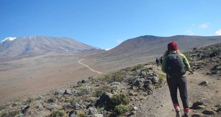 Ascension du Mont Kilimandjaro par la route de Rongai - 9 jours - Tanzanie (tous les hébergements et transports sont inclus) - Spider Tours and Safaris 9