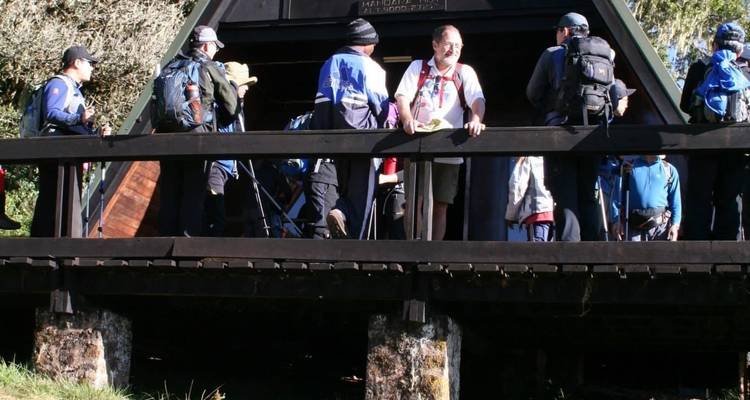 Group Joining Mount Kilimanjaro Climbing through Marangu Route 8 Days Tanzania (all accommodation and transport are included) - Spider Tours and Safaris 10