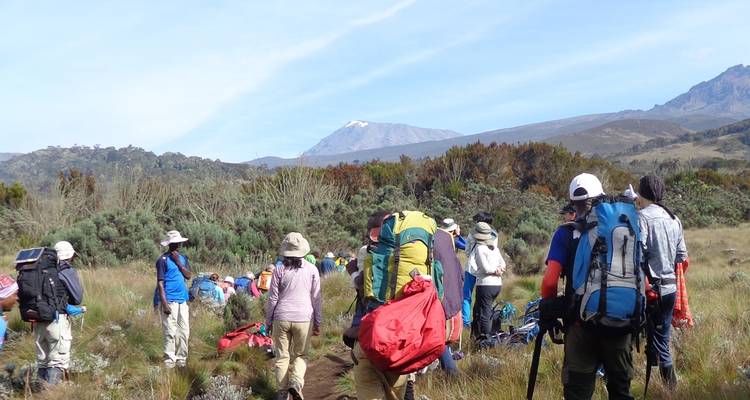 Group Joining Mount Kilimanjaro Climbing through Marangu Route 8 Days Tanzania (all accommodation and transport are included) - Spider Tours and Safaris 8