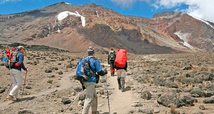6-Day Marangu Route: A Classic Trek to the Roof of Africa-kilimanjaro treking - Kilimanjaro Wonders Expedition Safari 9