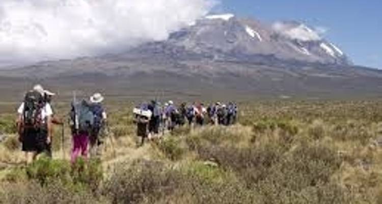 8 jours sur la route du Kilimandjaro Lemosho - Parfait pour les débutants et les amoureux de la nature - Kilimanjaro Wonders Expedition Safari 5