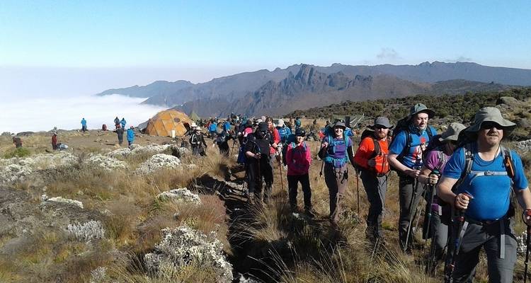 8 jours sur la route du Kilimandjaro Lemosho - Parfait pour les débutants et les amoureux de la nature - Kilimanjaro Wonders Expedition Safari 4