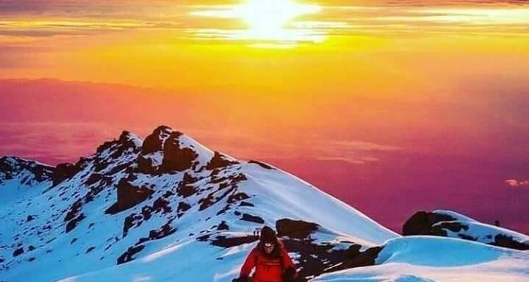 Ruta Rongai de 7 días - Un viaje remoto y panorámico a la cima del Kilimanjaro - Kilimanjaro Wonders Expedition Safari 9