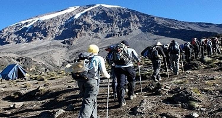6 Days Kilimanjaro Machame Trek - Unforgettable Adventure for All Levels - Kilimanjaro Wonders Expedition Safari 3