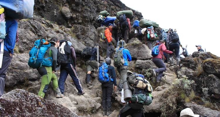 Subida al Kilimanjaro ruta del circuito norte 9 días - Kilimanjaro Wonders Expedition Safari 4