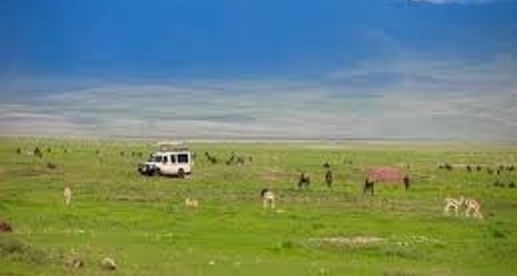 Explore the northern Tanzania 6 days - Kilimanjaro Wonders Expedition Safari 2