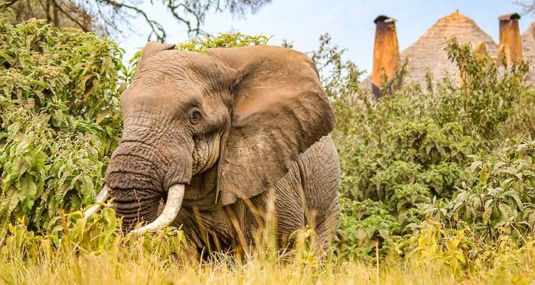 Explore the northern Tanzania 6 days - Kilimanjaro Wonders Expedition Safari 7