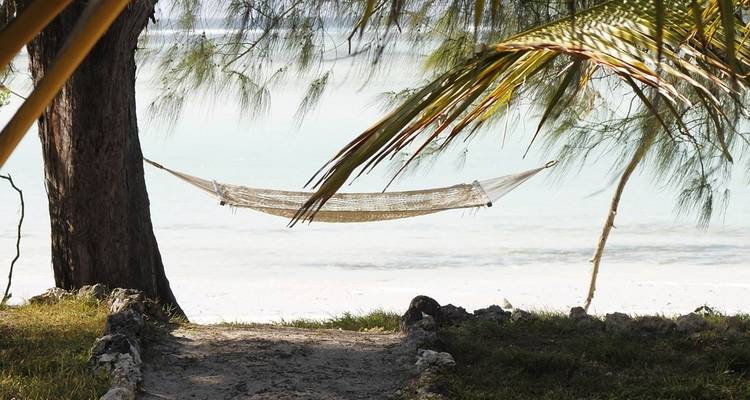 Zanzibar Island Safari 3 days - Kilimanjaro Wonders Expedition Safari 7