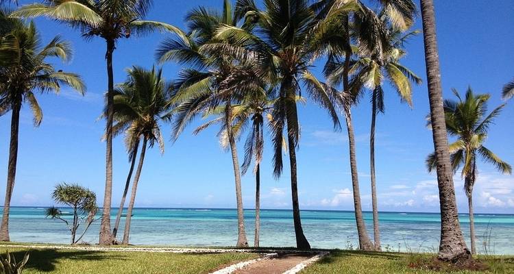Zanzibar Island Safari 3 days - Kilimanjaro Wonders Expedition Safari 9