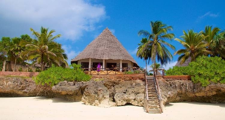 Zanzibar Island Safari 3 days - Kilimanjaro Wonders Expedition Safari 8