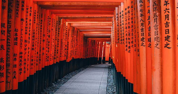 Famoso sendero bajo una serie de llamativas puertas torii rojas con inscripciones japonesas.