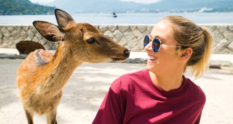 Mujer sonriente interactuando con un ciervo cerca de un paseo marítimo.