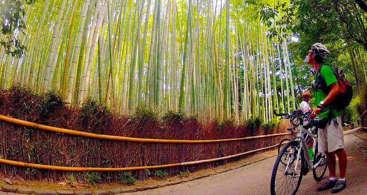 Essentiel Japon - Intrepid Travel 9