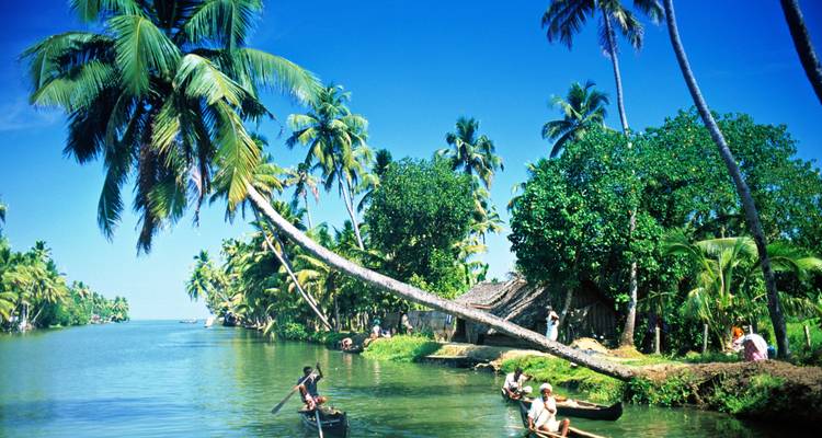 Vista panorámica de un río con palmeras y cielos despejados.