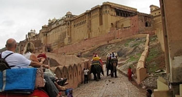 10 Days Rajasthan and Wildlife - Holidays At 3