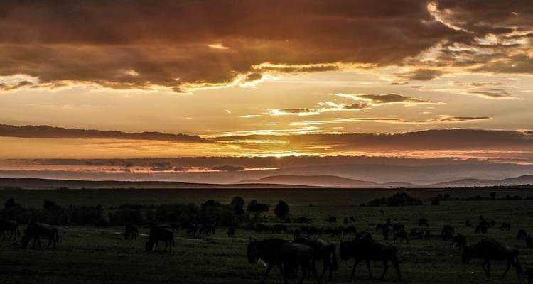 Safari au Kenya et en Tanzanie (9 destinations) - Cosmos 9