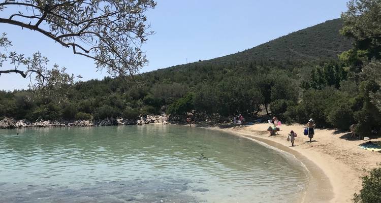Pick an Olive! 7 days - Epos Travel & Tours 9