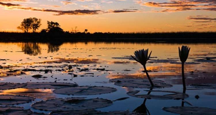 9 Day Wilderness & Desert Trail: Okavango & Kalahari - Wild Camping Safari, all-inclusive - Kalahari Breeze Safaris 3