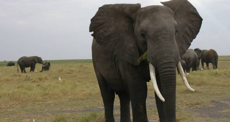 9 Day Wilderness & Desert Trail: Okavango & Kalahari - Wild Camping Safari, all-inclusive - Kalahari Breeze Safaris 4