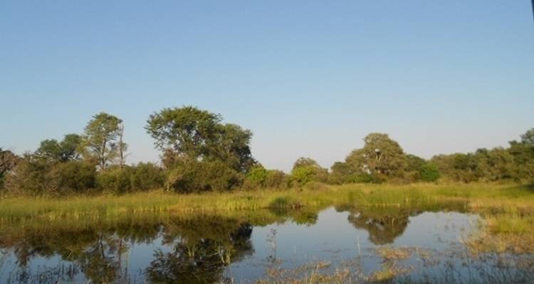 9 Day Wilderness & Desert Trail: Okavango & Kalahari - Wild Camping Safari, all-inclusive - Kalahari Breeze Safaris 6