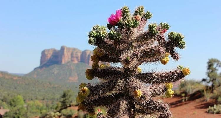 Aventurier des roches rouges - Wildland Trekking 4