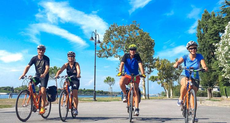 Grupo de cuatro personas en bicicleta por una carretera con árboles al fondo.