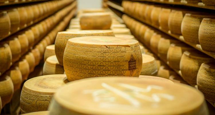 Ruedas de queso Parmigiano-Reggiano envejeciendo en el almacén.