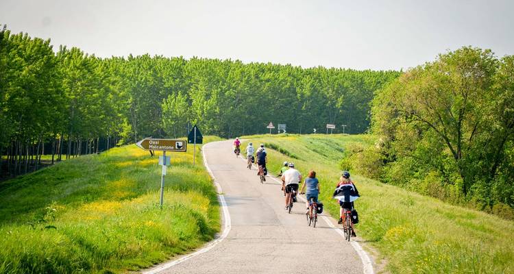 Grupo de ciclistas circulando por una carretera rural.