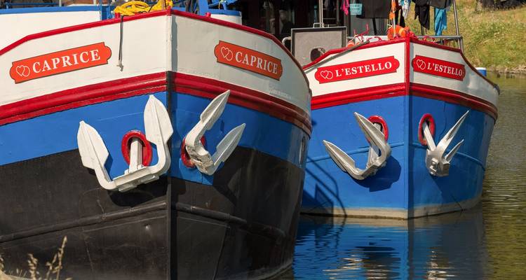Bike & barge tour Provence and Camargue: from Avignon to Aigues-Mortes - Girolibero - Cycling holidays 9
