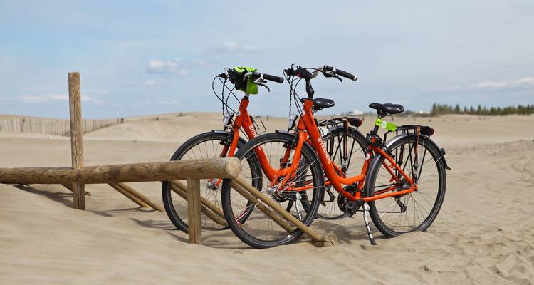 Tour de Provence et de Camargue à vélo et en péniche : d'Avignon à Aigues- Mortes - Girolibero - Cycling holidays 10