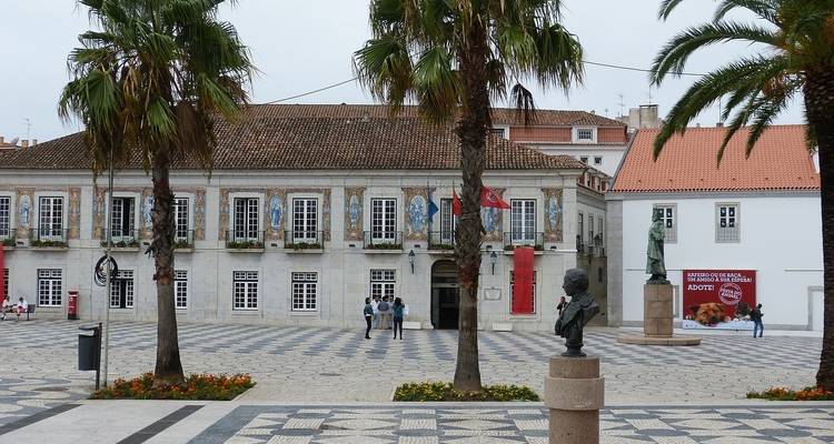 Plaza de la ciudad con palmeras y edificios históricos.