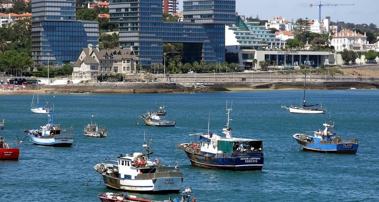 Muelle con barcos pesqueros y paisaje urbano de fondo.